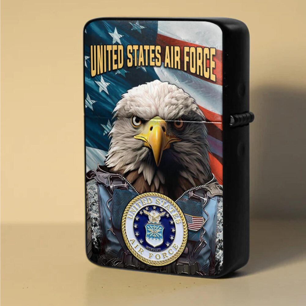 US Air Force , E 9 Air Force Command Chief Master Sergeant - Lighter - Image 3